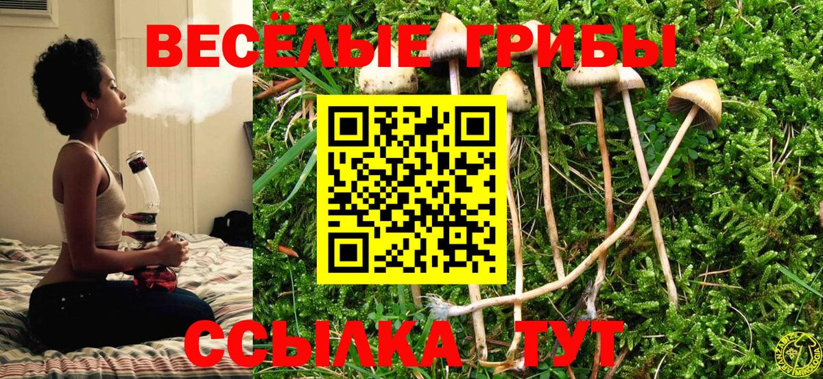 Галлюциногенные грибы ЛСД  Вход с VPN  Киселёвск 