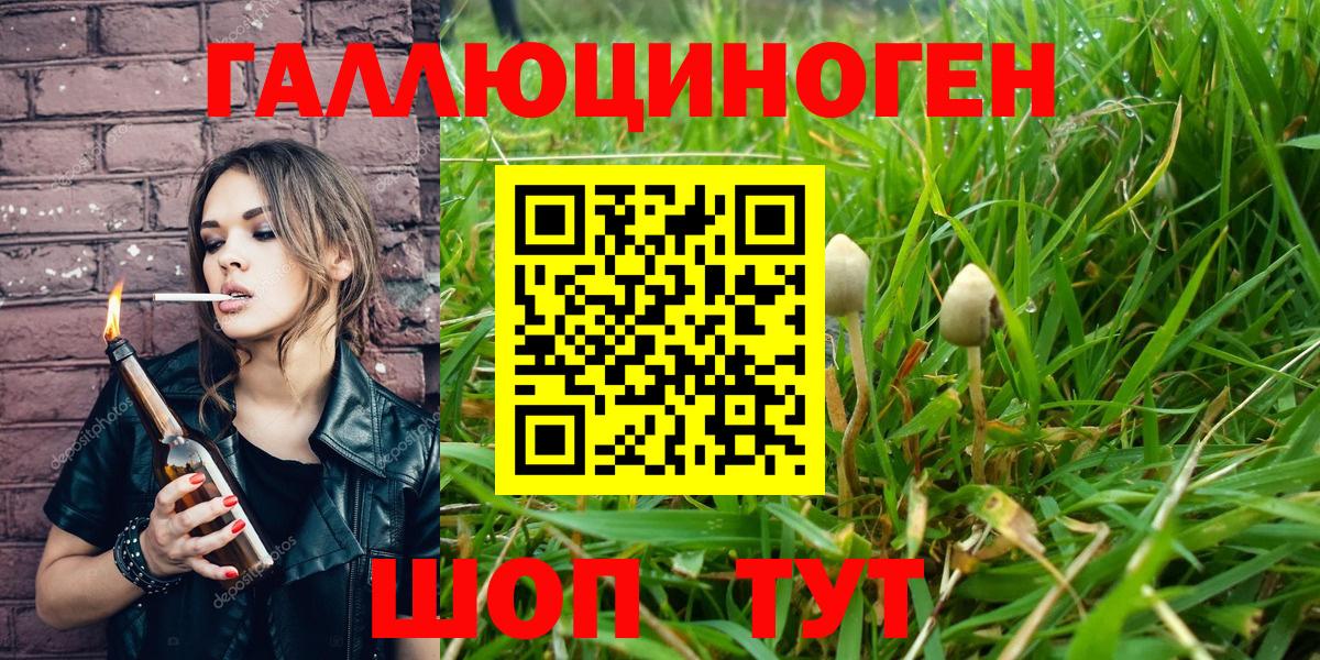 Галлюциногенные грибы Psilocybine cubensis Киселёвск